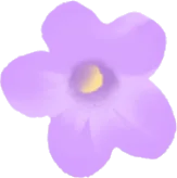 ラベンダーの花の実の画像