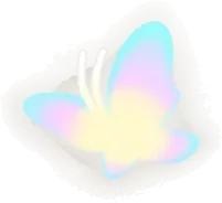まぼろしの蝶の実の画像