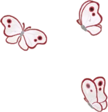 神秘的に舞う蝶の画像