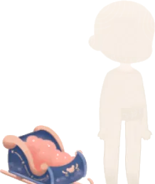 小さなクリスマスソリの画像