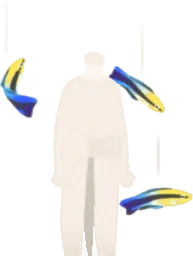 周囲を泳ぐホンソメワケペラの模型の画像