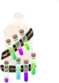 試験管ベルトの画像