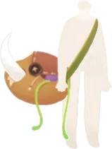 中身がいっぱいのカバンの画像