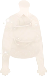 まとわりつく蜘蛛の巣の画像