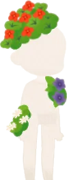 見たことある花の画像