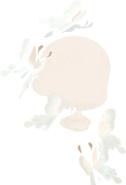 光をまとった白蝶の画像