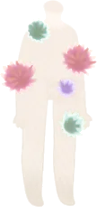 咲く砂丘の草の画像