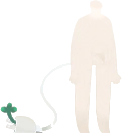 プラグの尻尾の画像