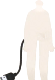 コードの尻尾の画像