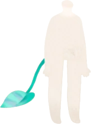 トゲフラワーの葉の尻尾の画像