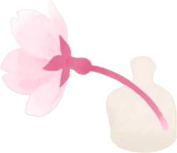 肩乗せ枝垂桜の花の画像