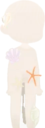 くっつく海の生き物たちの画像