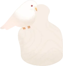 白い鳩・一休みの画像