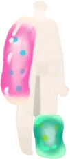 グミグミFDボディの画像