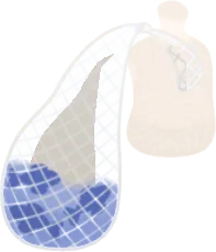 ベテラン漁師の釣果の画像