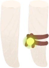 光虫の付いた足飾りの画像
