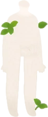 生えた葉っぱの画像