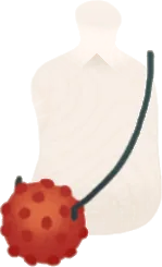 フレッシュなヘビイチゴポンェットの画像