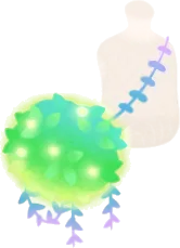 霧の森のポシェットの画像