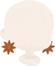 スターアニスのピアスの画像