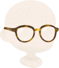 ボストン型べっ甲メガネの画像