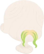コーンのヒゲの画像