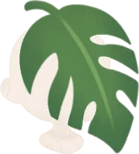 大きいモンステラのお面の画像