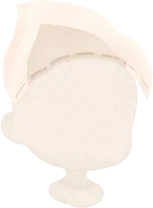 採集者の三角巾の画像