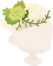 多肉植物の帽子の画像