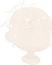 状態の良い蜘蛛の巣の画像