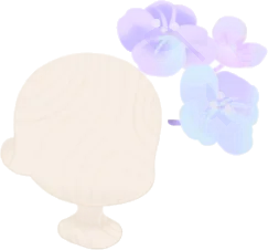 雨上がりに咲く紫陽花の装飾花の画像