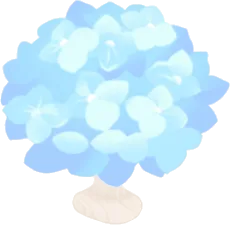 梅雨に映える紫陽花ヘッドの画像