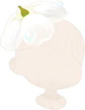 落ちてしまったサンカヨウの画像