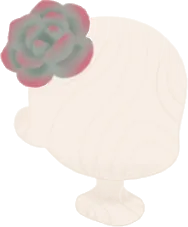 サンルームエケベリアの画像