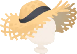 ツバ広ストローハットの画像
