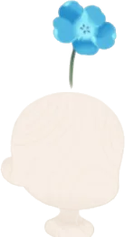 頭上のネモフィラの画像
