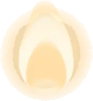 アロマキャンドルのともしびの画像