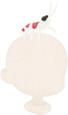 透けた小エビの画像