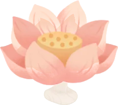咲き誇っている蓮の花の画像