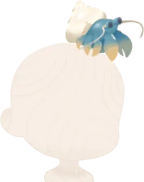 浜辺にいたヤドカリの画像