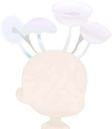 栽培用キノコセットの画像