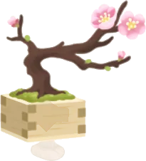 桃色梅の盆栽の画像