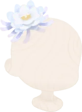 儚く咲く月下美人の画像