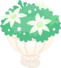 フランネルフラワーのポットヘッドの画像