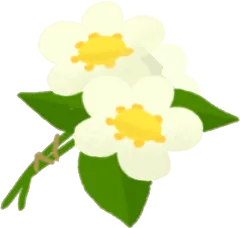 手持ちのお花の画像