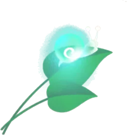 原生林の葉っぱの画像