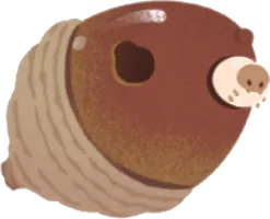虫食いどんぐりの画像