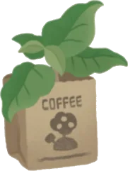 コーヒーの苗の画像