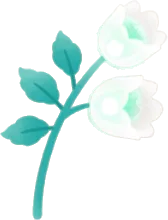 手元で光る白い花の画像