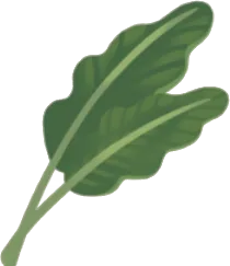 大きな植物の葉っぱの画像
